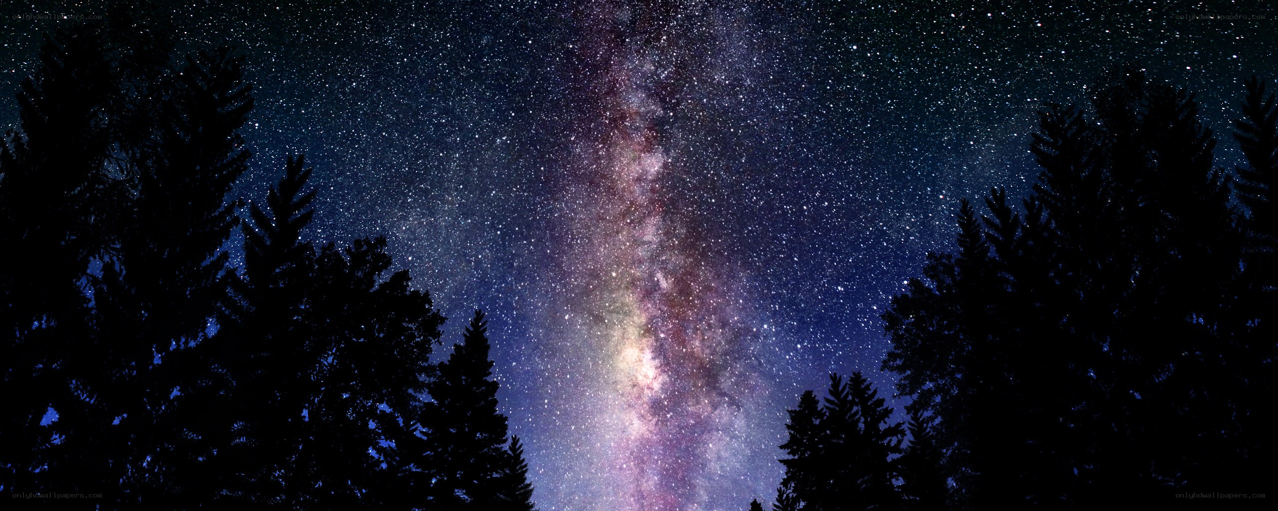 Milky Way over forest silhouette