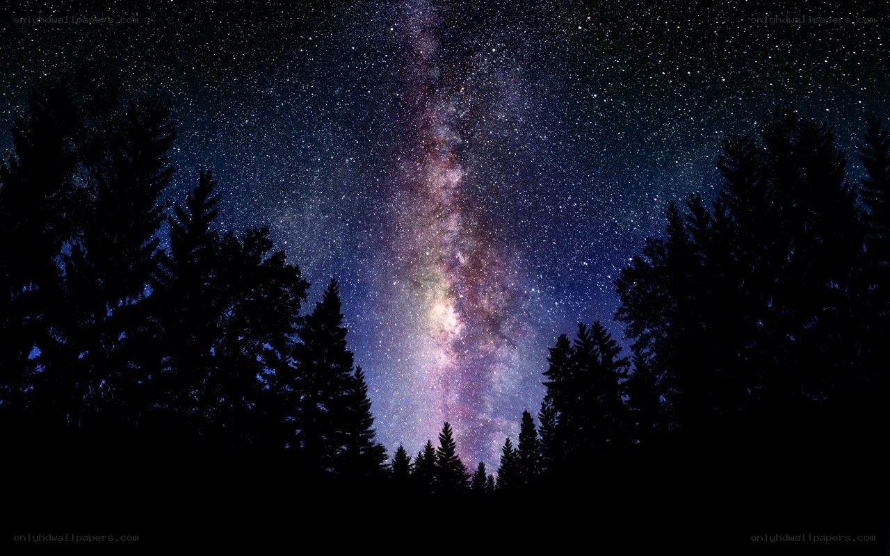 Milky Way over forest silhouette