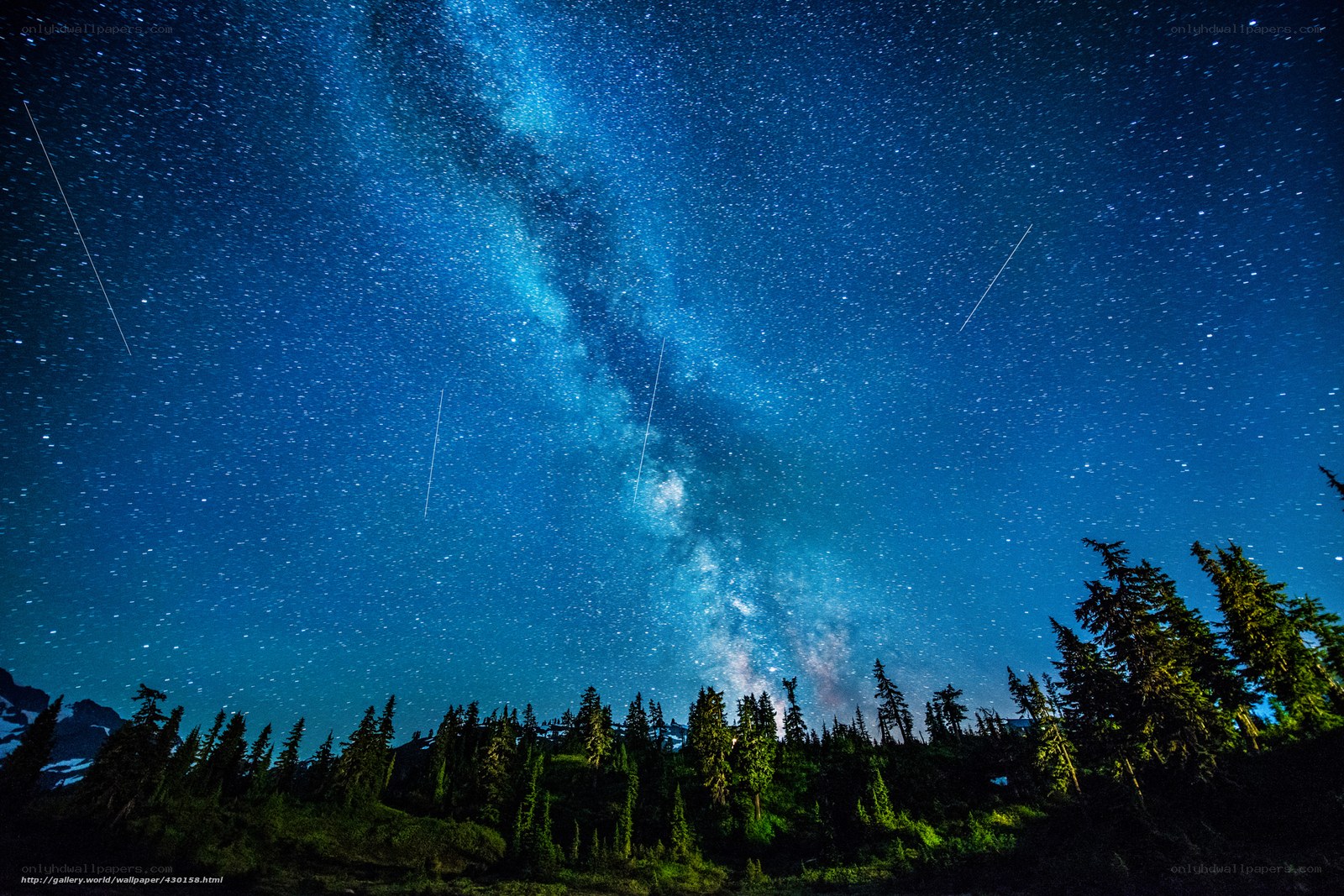 Milky Way over forest