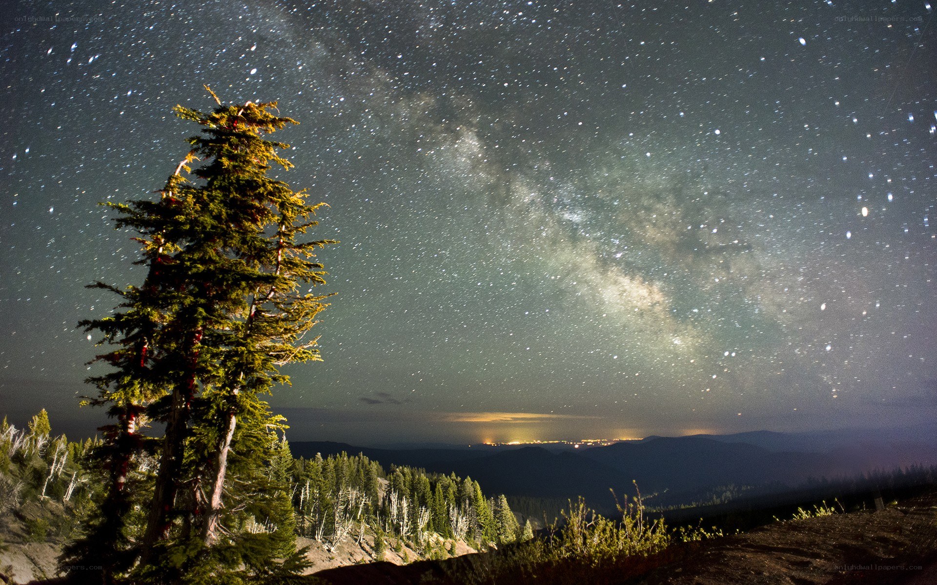 Milky Way over forested mountains