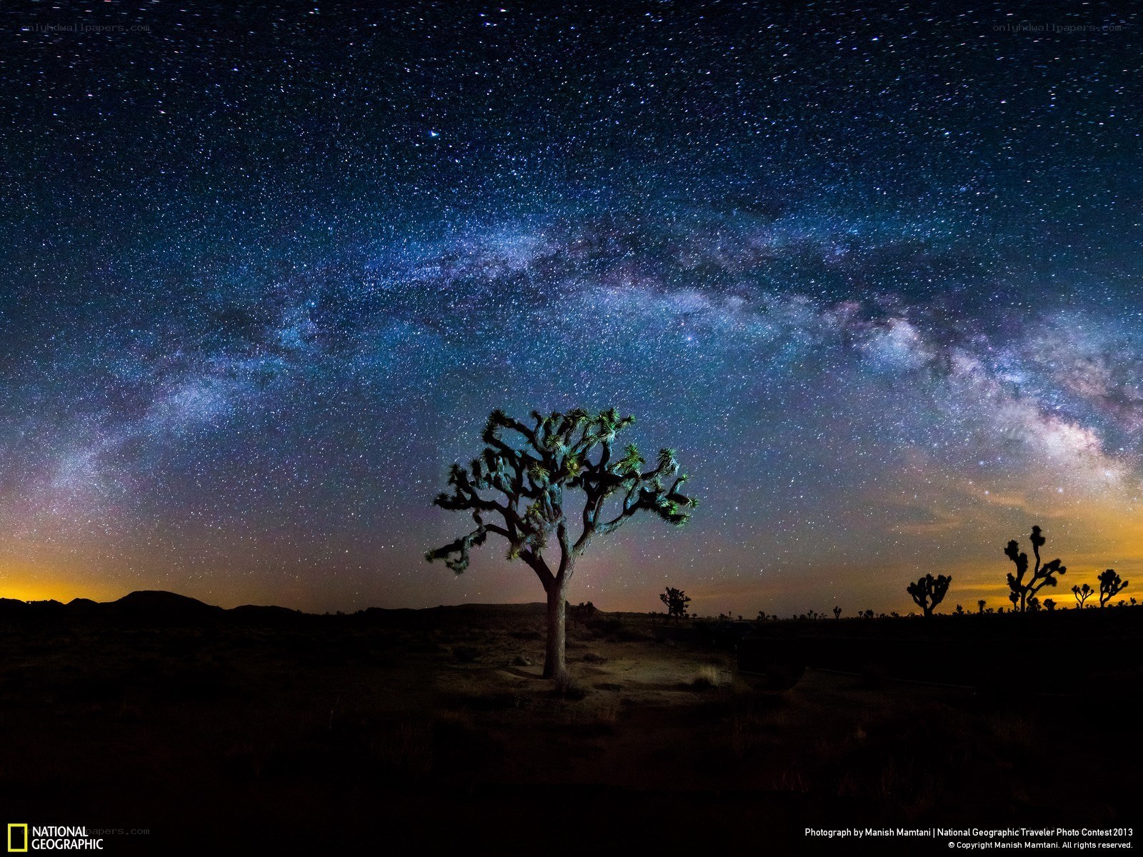 Milky Way over Joshua Tree