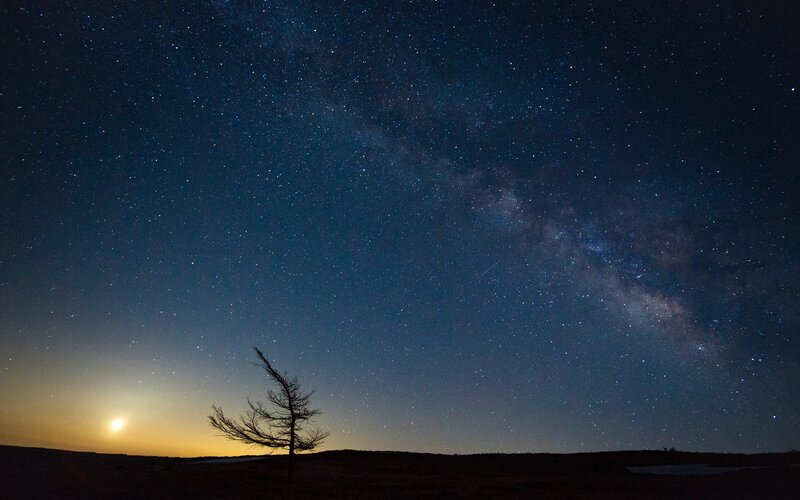 Milky Way over lone tree