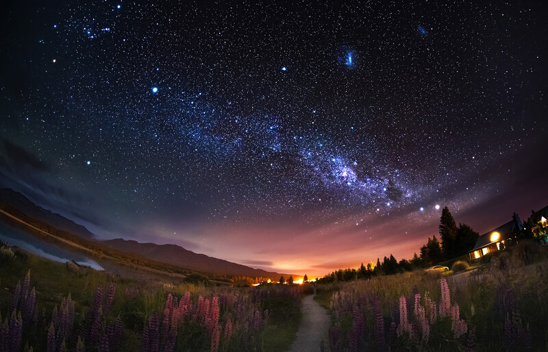 Milky Way over Lupine Field