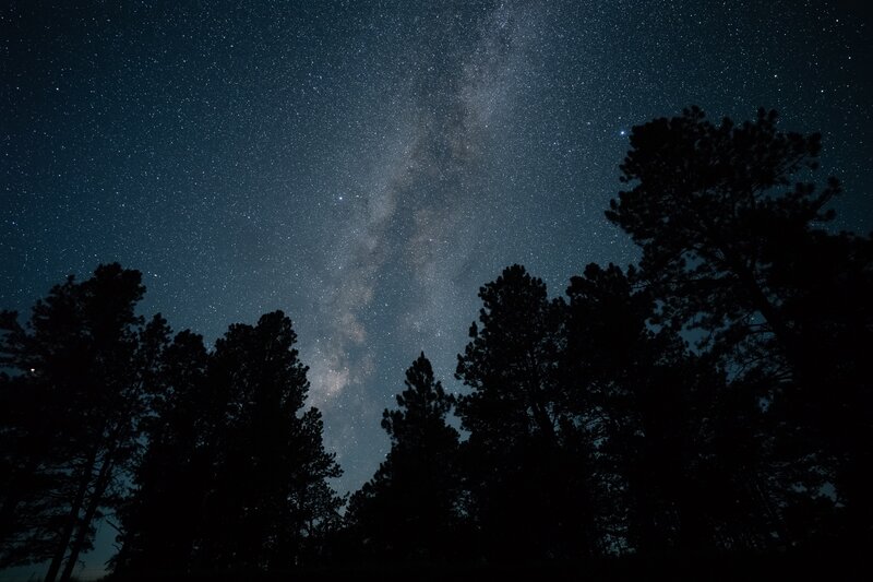 Milky Way over Pine Trees — Black, Serene, Night, Photograph, Stars