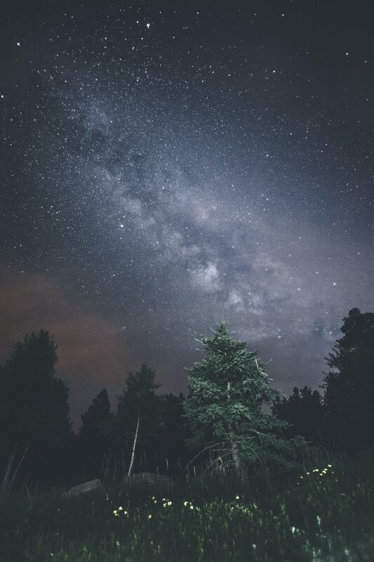 Milky Way over Pine Trees — Black, Serene, Night, Photograph