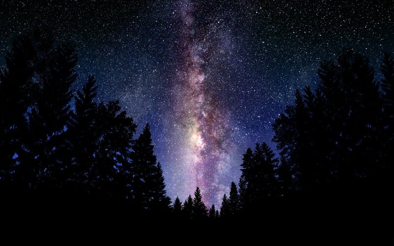 Milky Way over Pine Trees — Black, Serene, Night