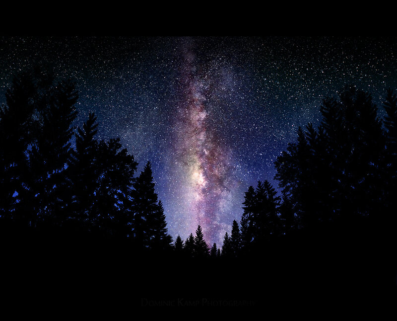 Milky Way over Pine Trees — Black