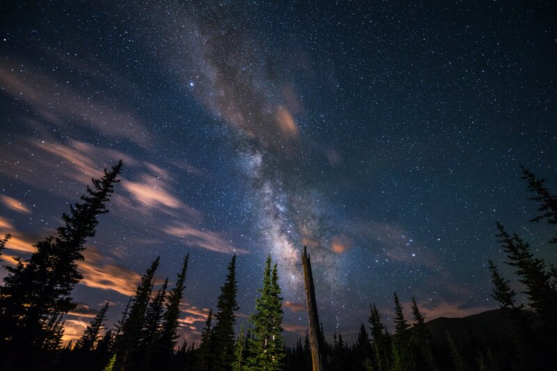 Milky Way over Pine Trees — Dark Blue