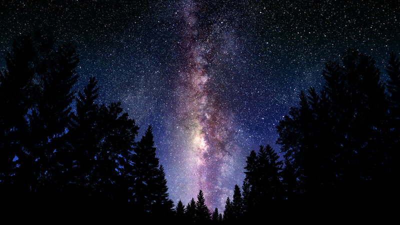 Milky Way over Pine Trees — Purple, Serene, Night
