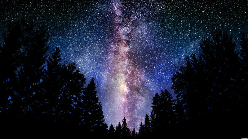 Milky Way over Pine Trees — Purple, Serene
