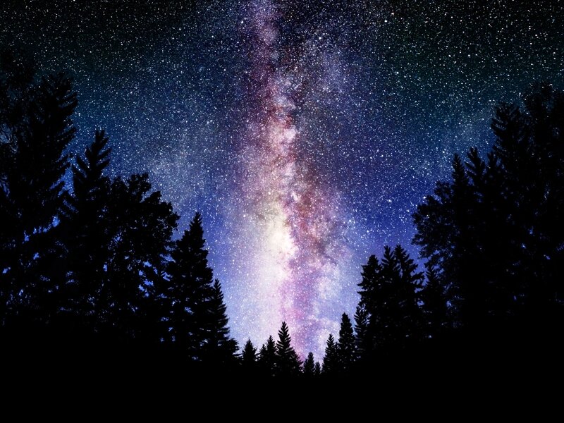 Milky Way over Pine Trees