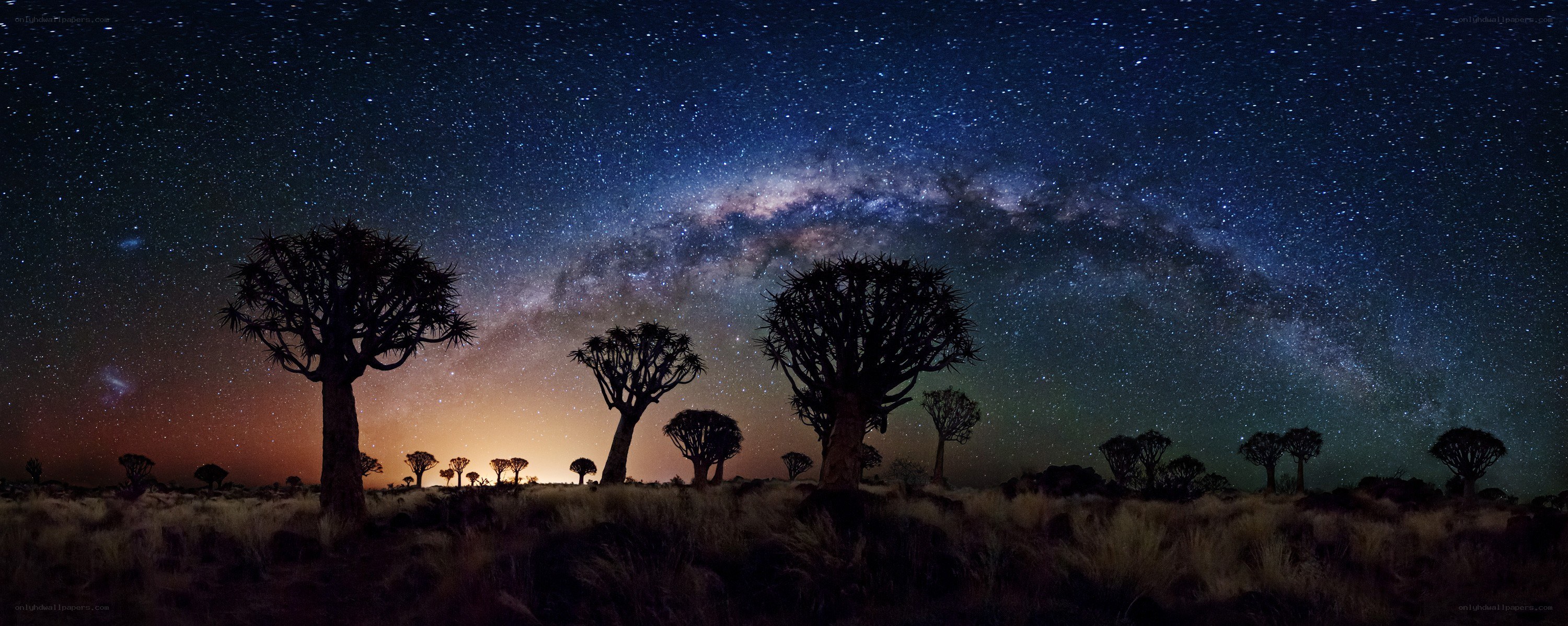 Milky Way over quiver trees