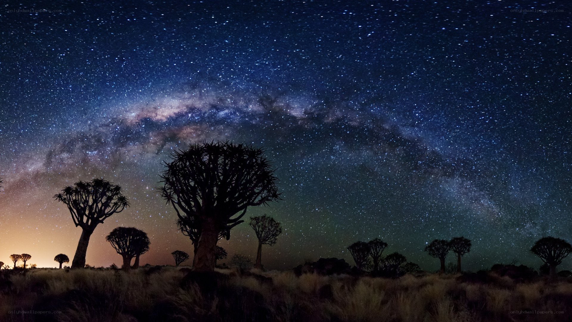 Milky Way over quiver trees