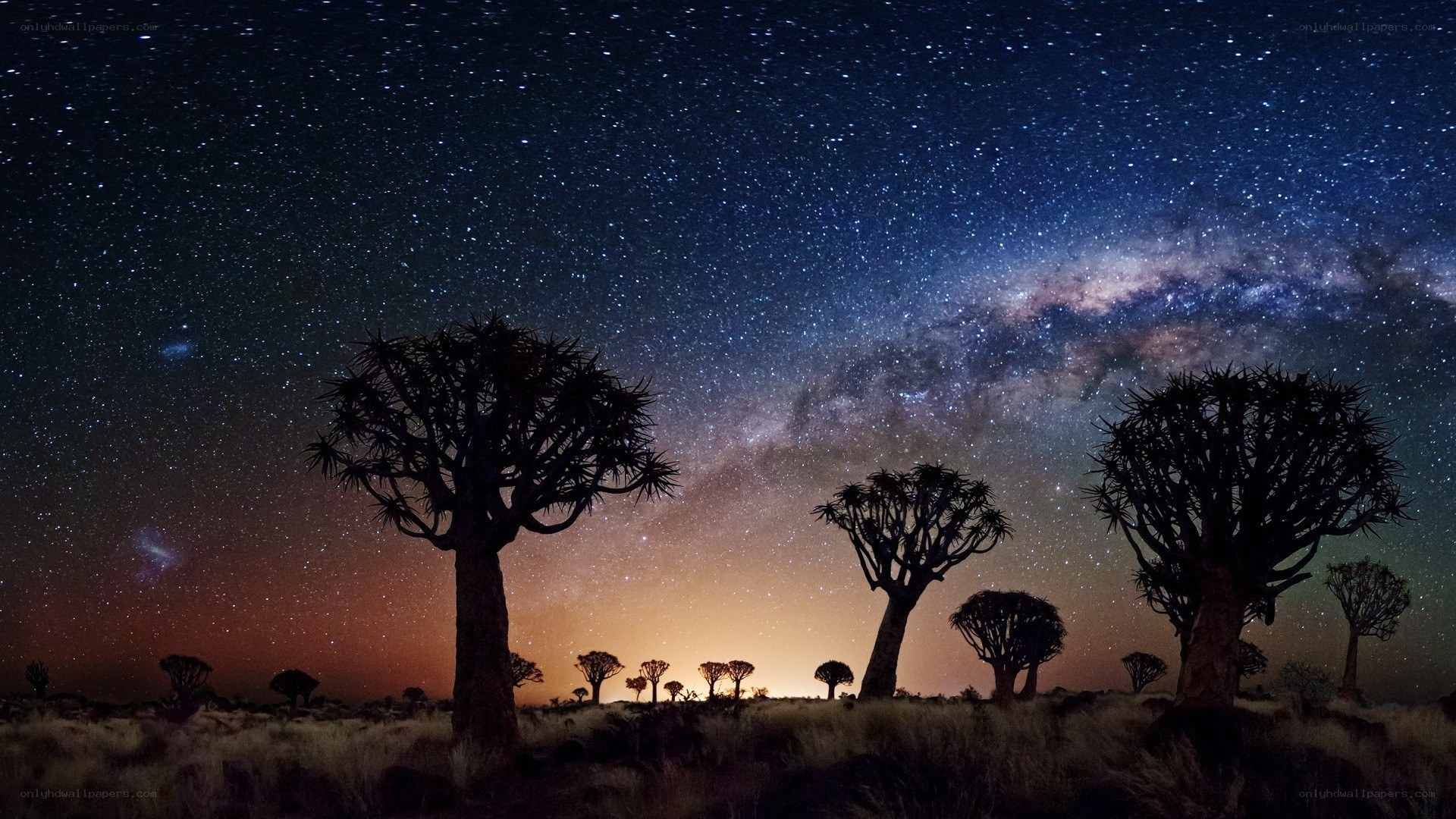 Milky Way over quiver trees