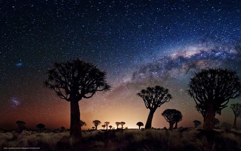 Milky Way over Quiver Trees
