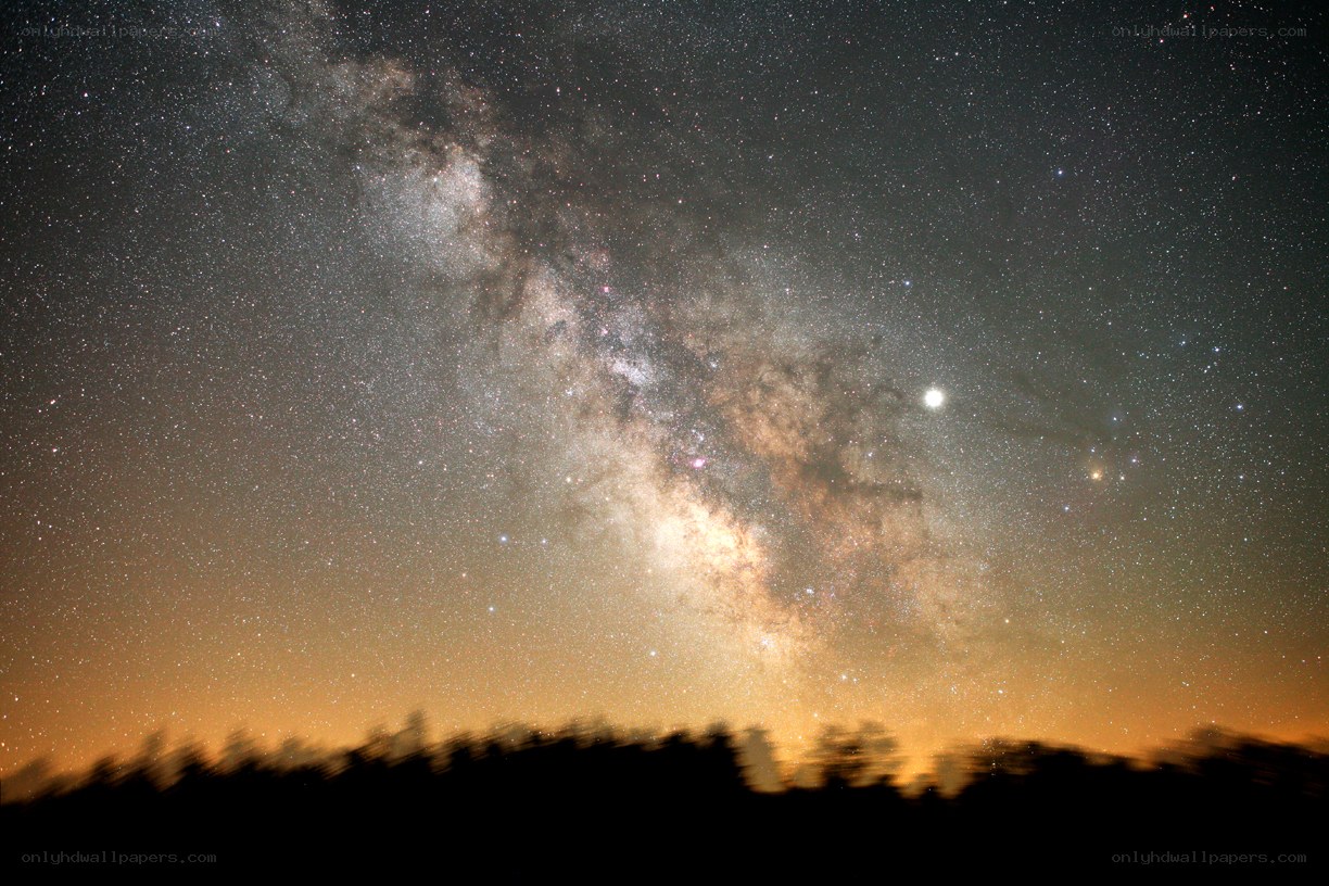Milky Way over silhouetted trees