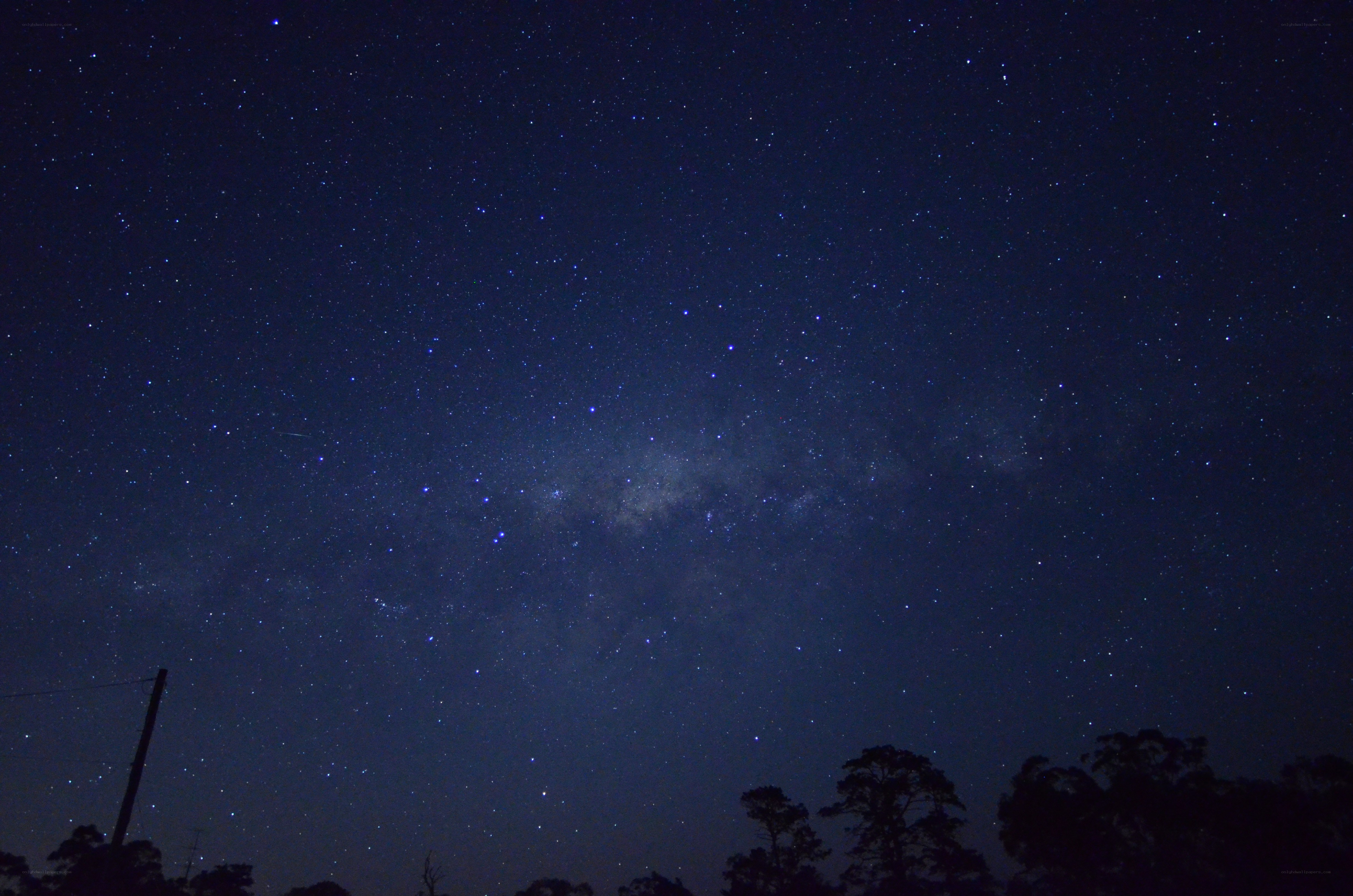 Milky Way over silhouetted trees