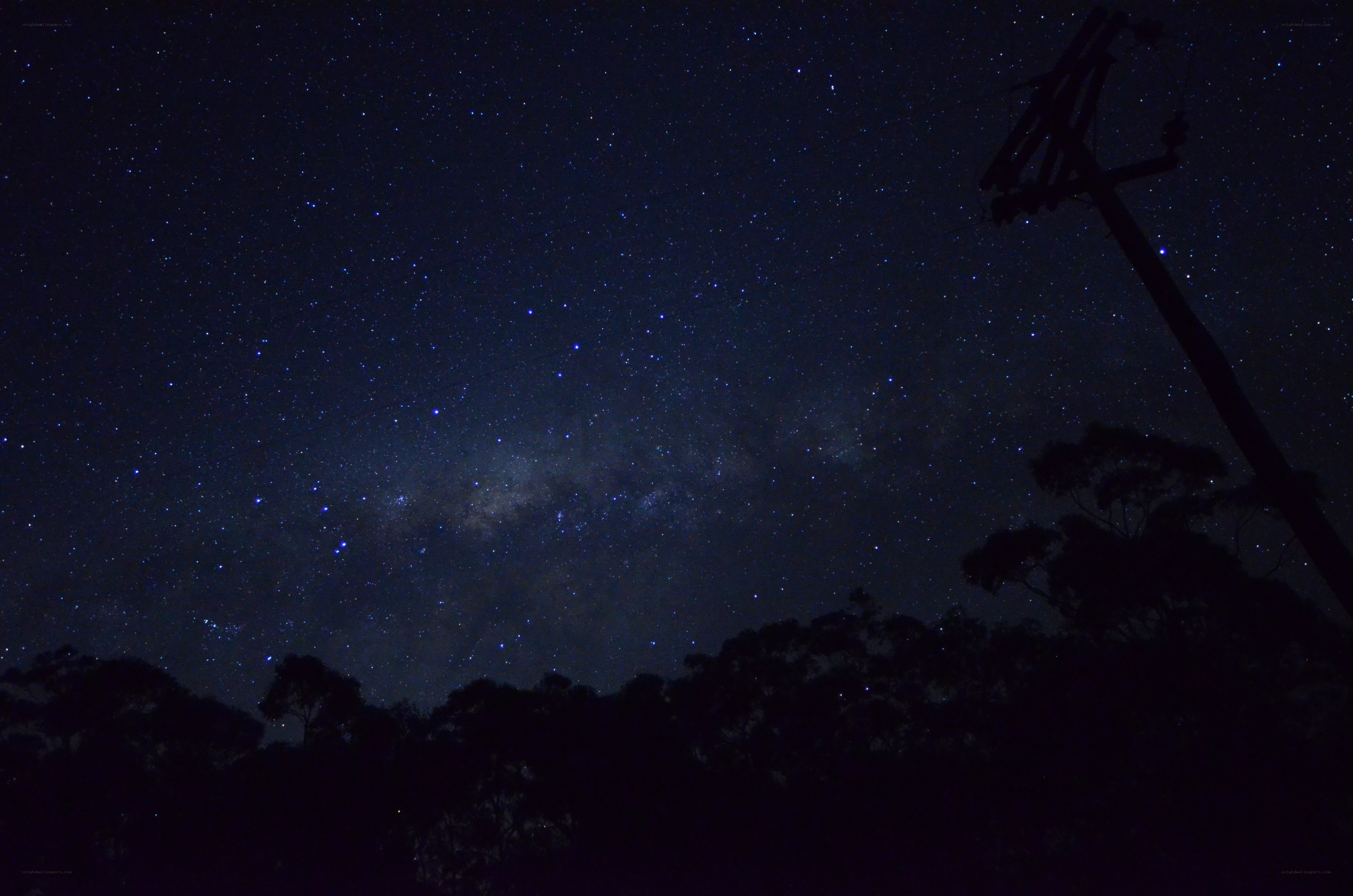 Milky Way over silhouetted trees