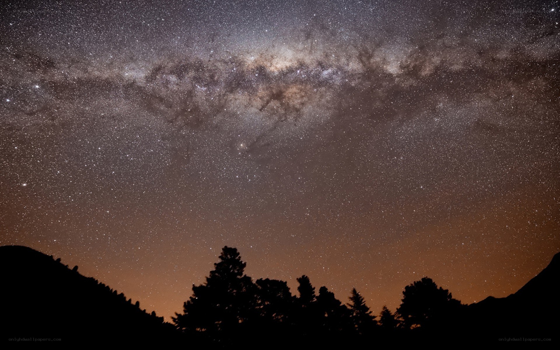 Milky Way over silhouetted trees
