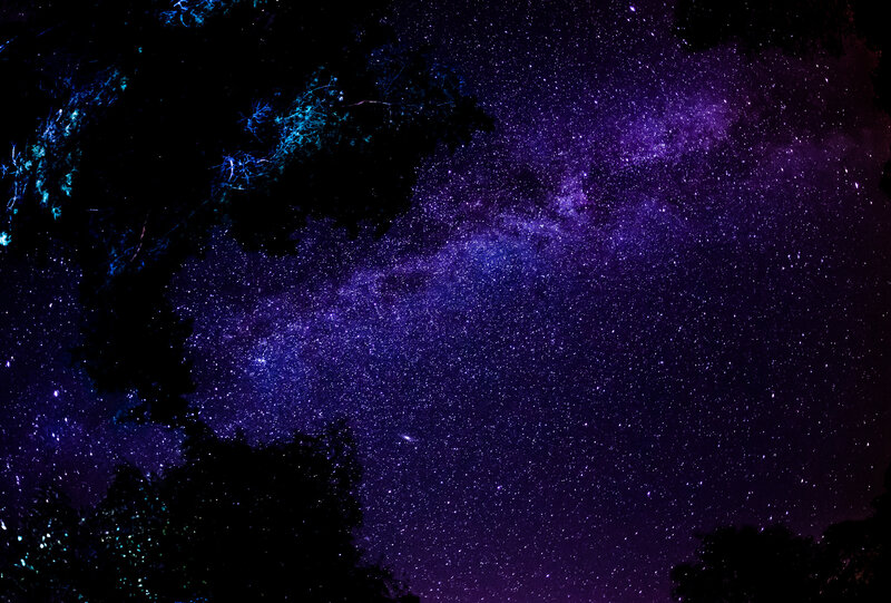 Milky Way over silhouetted trees