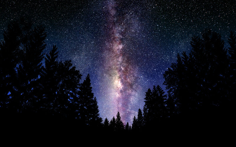 Milky Way over Trees — Black, Serene, Night, Photograph, Stars, Forest