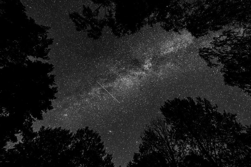 Milky Way over Trees — Black, Serene, Night, Photograph, Stars, Meteor