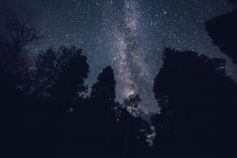 Milky Way over Trees — Black, Serene, Night, Photograph, Stars, Night Sky