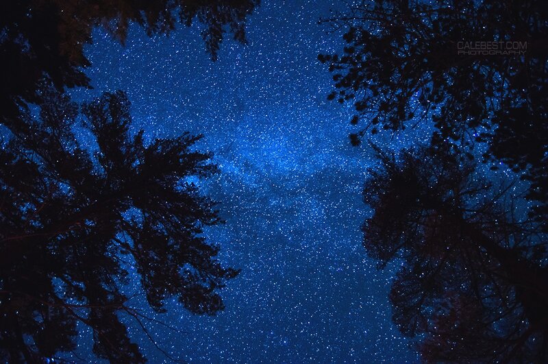 Milky Way over Trees — Blue, Serene, Night, Photograph