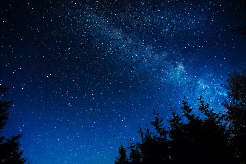Milky Way over Trees — Blue
