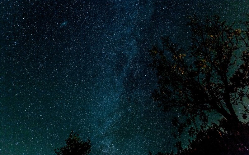 Milky Way over Trees — Dark Blue