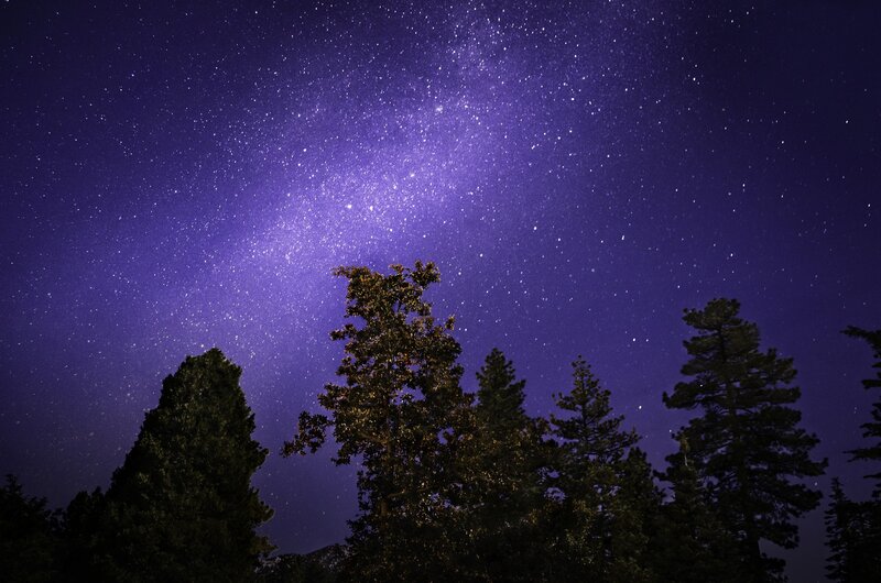 Milky Way over Trees — Purple, Serene, Night
