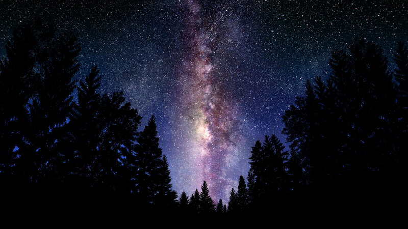 Milky Way over Trees — Purple