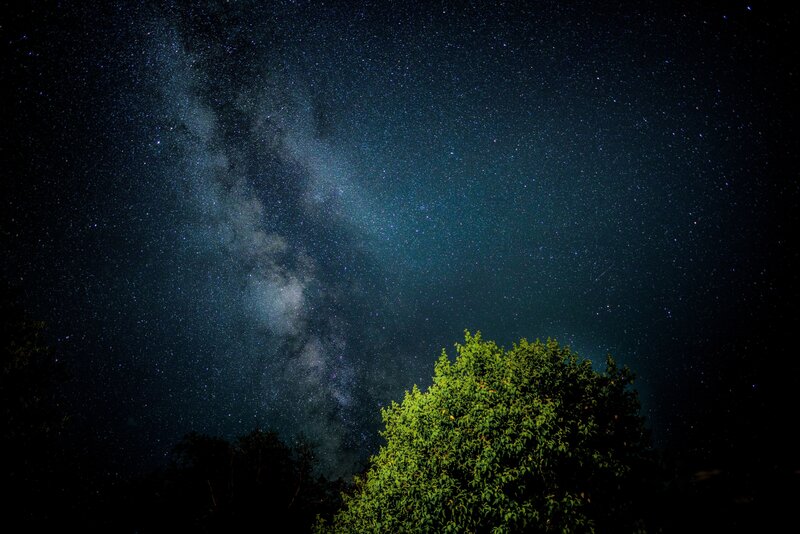 Milky Way over trees