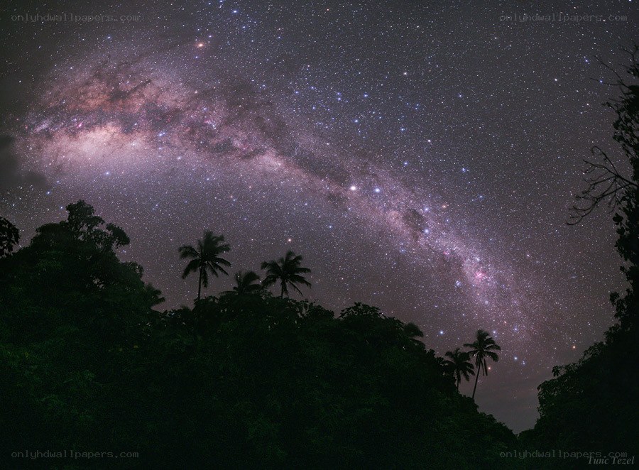 Milky Way over tropical forest