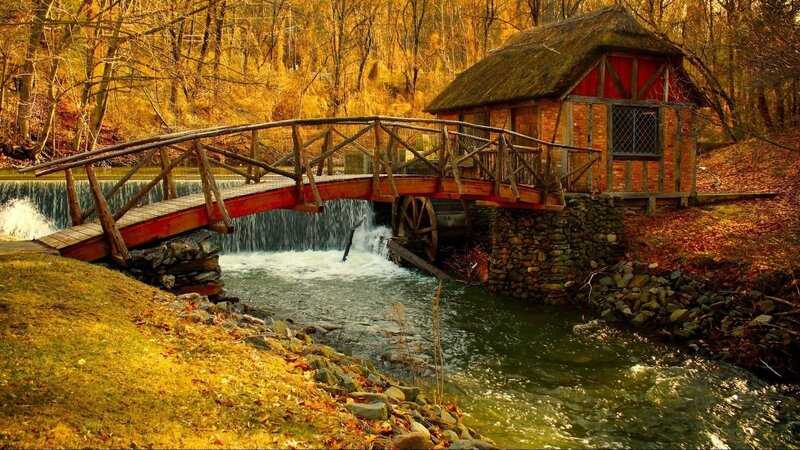 Mill and Bridge in Forest — Brown