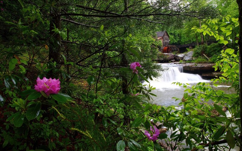 Mill by a forest waterfall