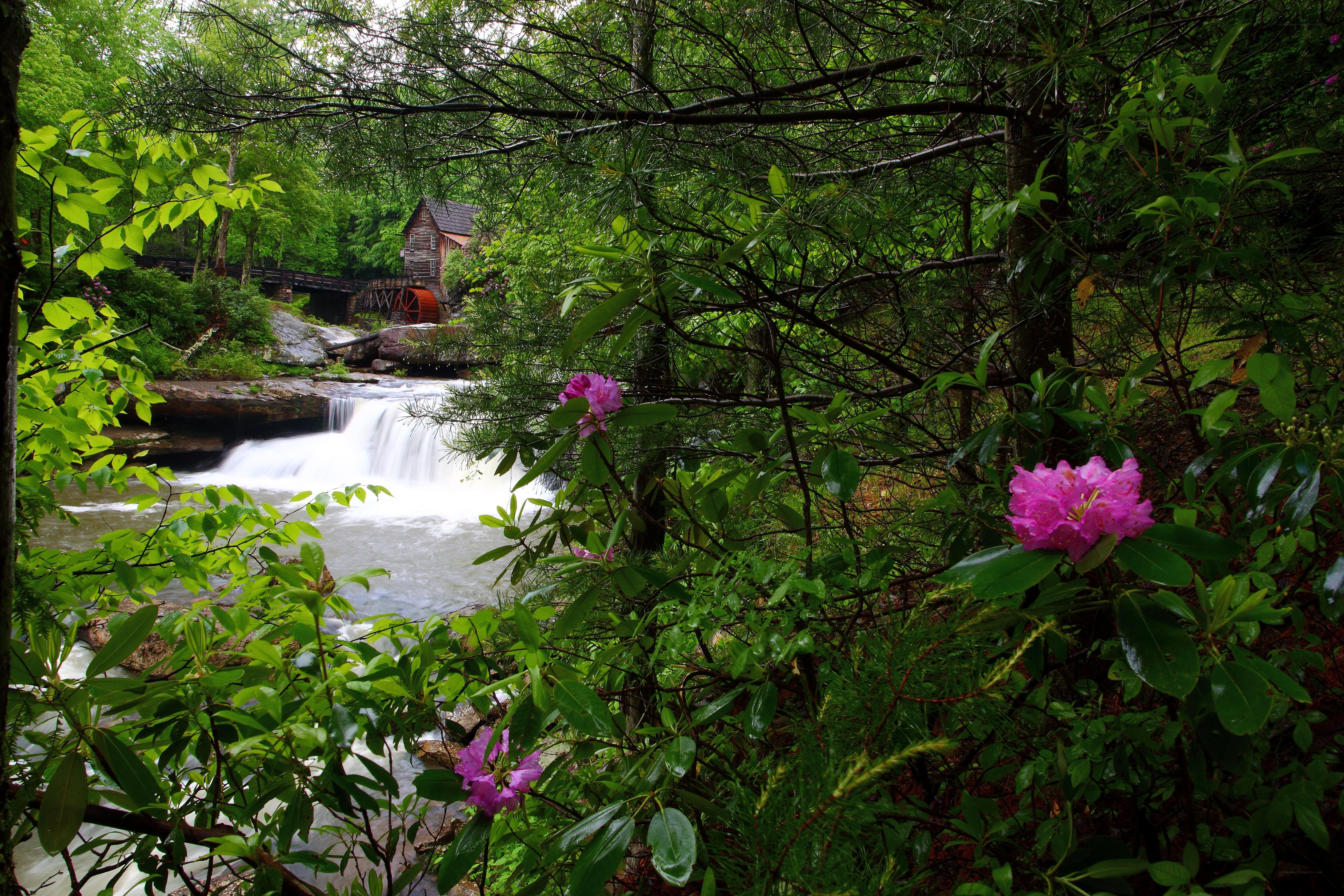 Mill by a forest waterfall