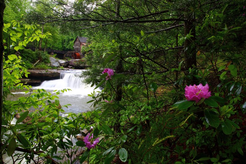 Mill by Waterfall — Green, Serene