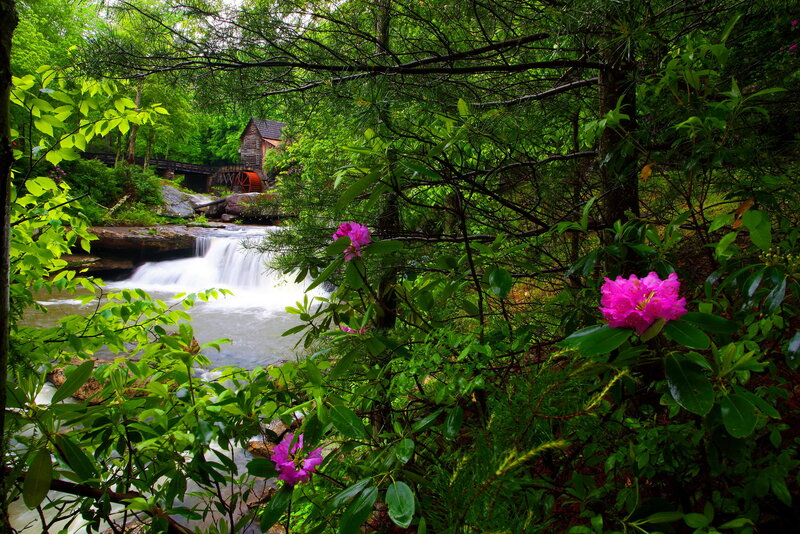 Mill by Waterfall — Green