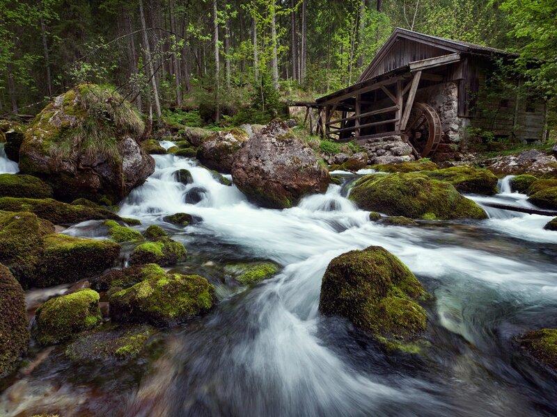 Mill on a Forest Stream