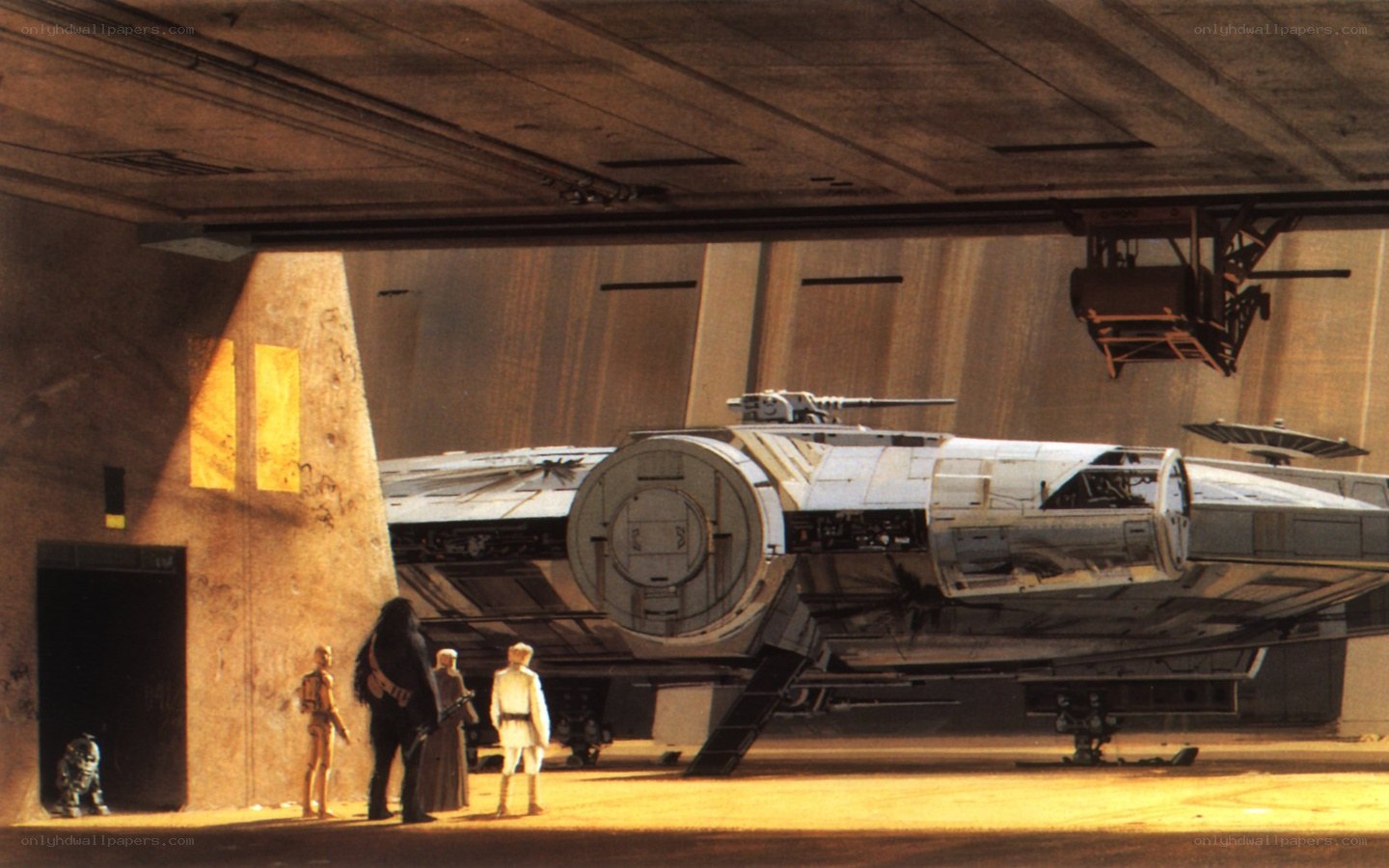 Millennium Falcon in hangar