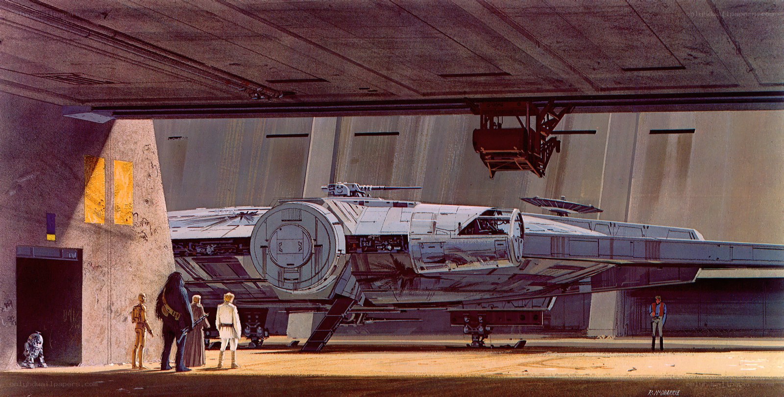 Millennium Falcon in hangar