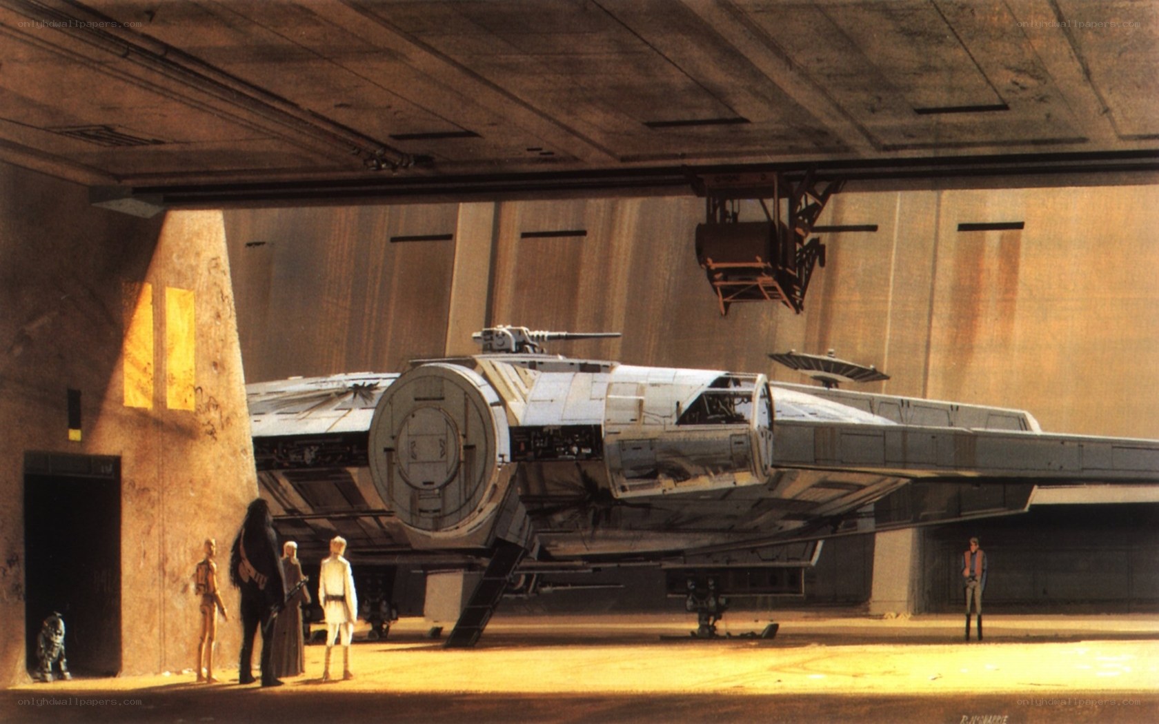 Millennium Falcon in hangar