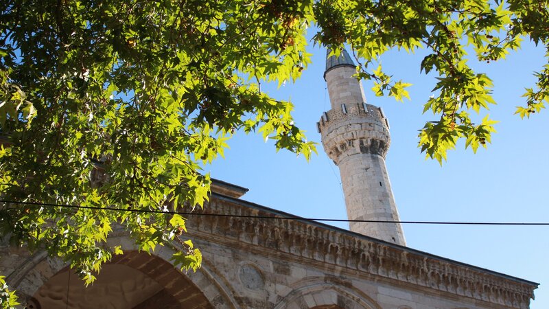 Minaret through tree branches