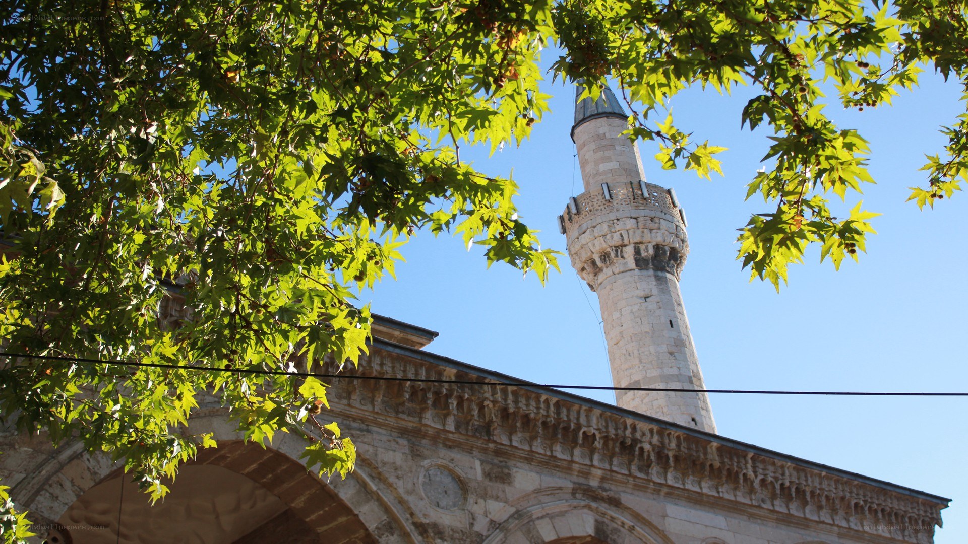 Minaret through tree branches