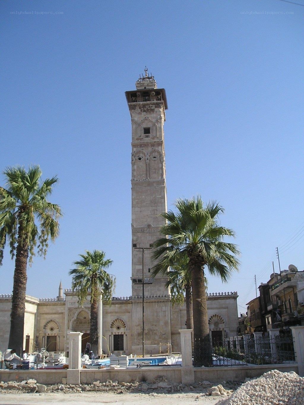 minaret with palm trees