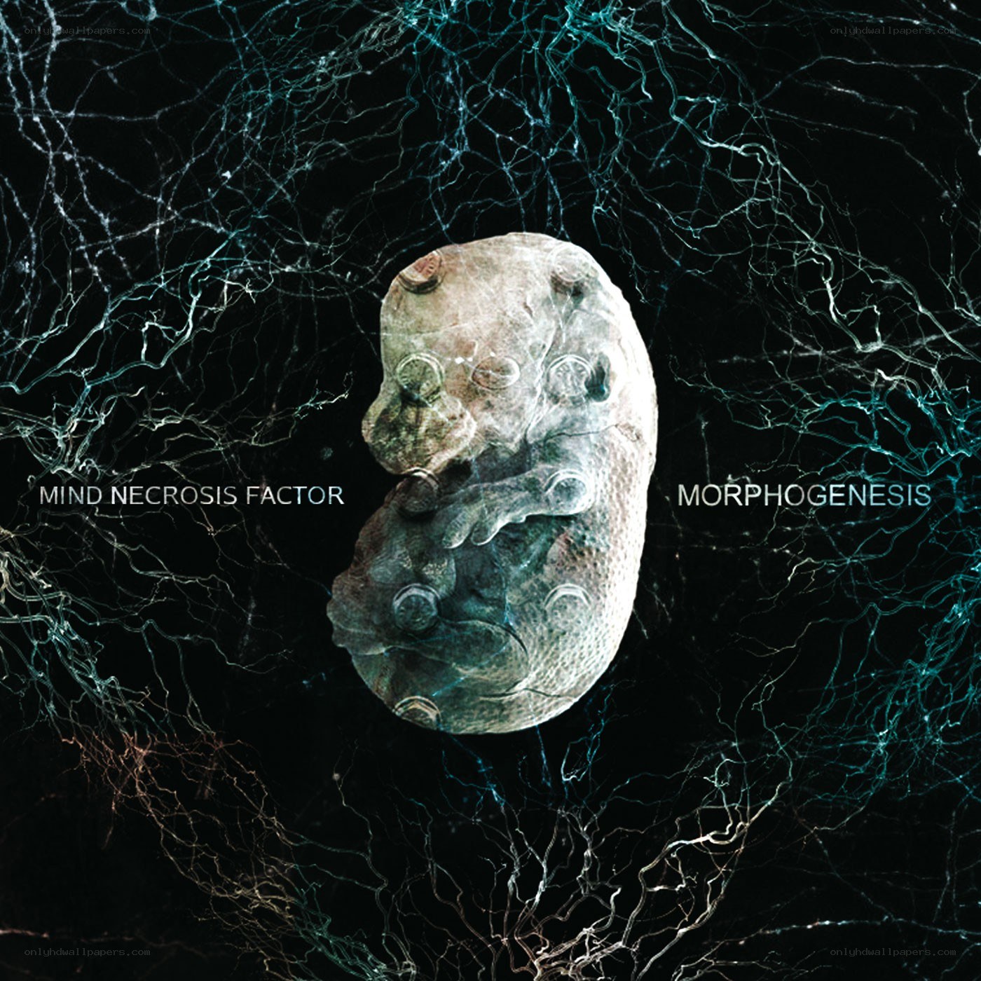 Mind Necrosis Factor album cover
