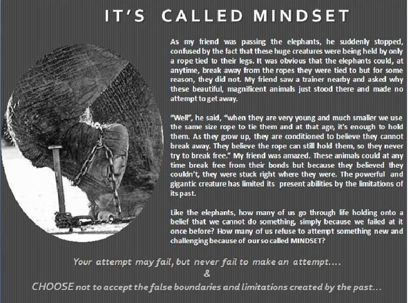 Mindset and Elephant Story