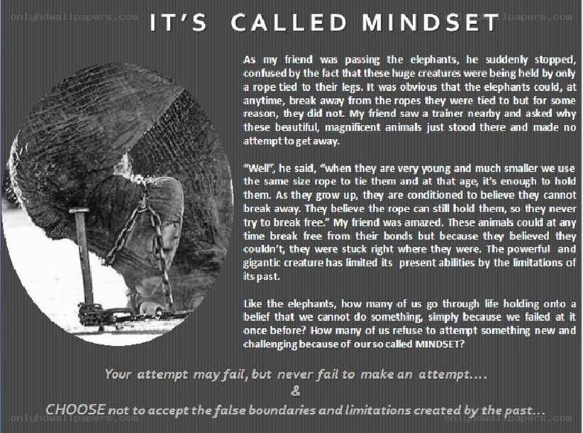 Mindset and Elephant Story