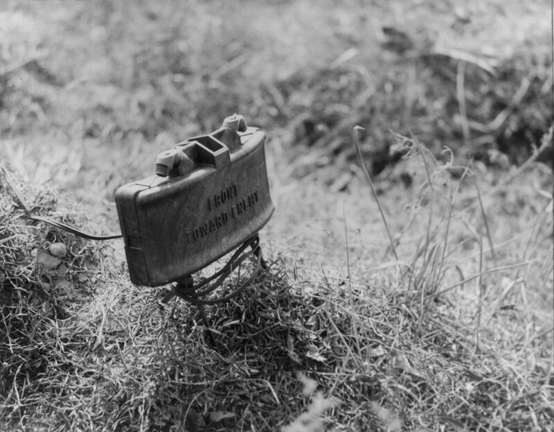 Mine detonator on grass